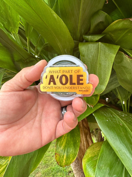 What Part Of ‘A’ole Don’t You Understand cell phone grip