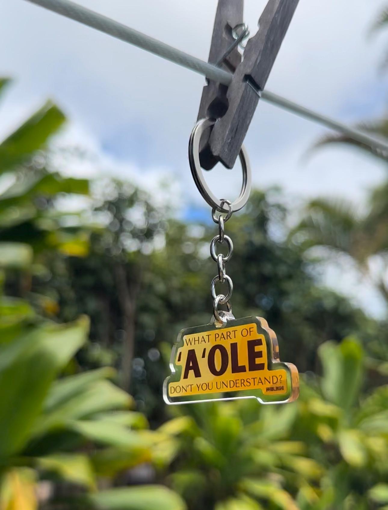What Part of ʻAole Donʻt you Understand Keychain